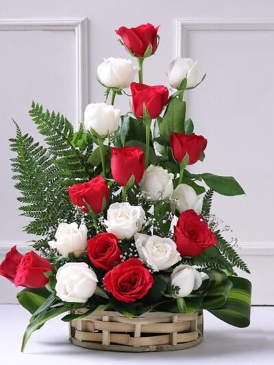 Rosy Palette Of Christmas