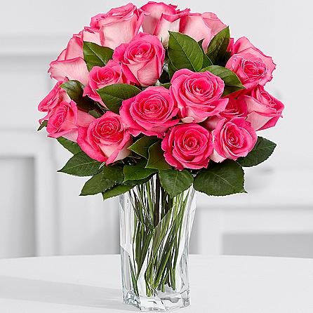 15 Pink Jewel Roses