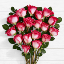 20 Pink Pearl Roses Bouquet – ProFlowers Pakistan