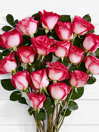 20 Pink Pearl Roses Bouquet – ProFlowers Pakistan