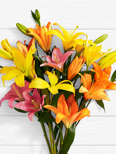 Birthday Lilies