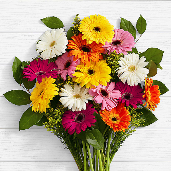 Colorful Birthday Daisies