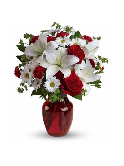 Red and White Roses