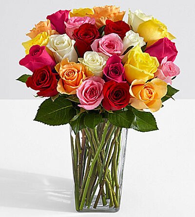 Two Dozen Mother's Day Roses