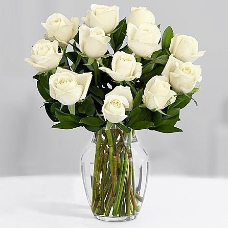 One Dozen Long Stemmed White Roses