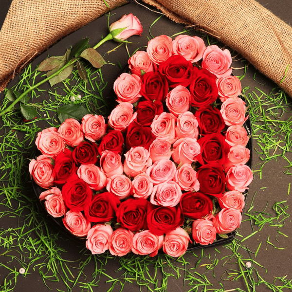 Hearty Sensation