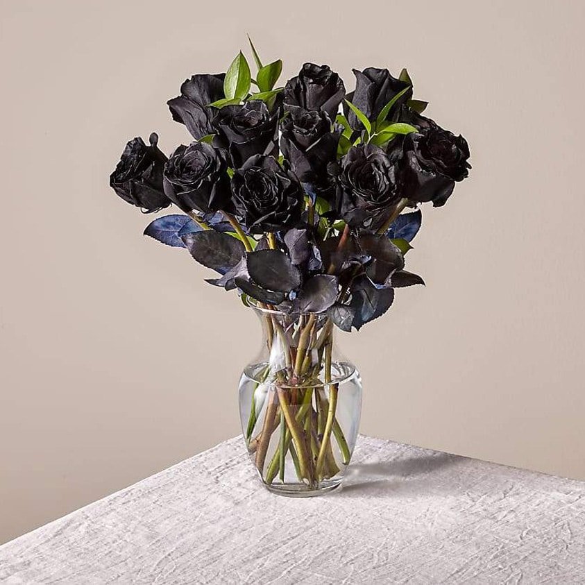 Black Roses Special For Valentine's
