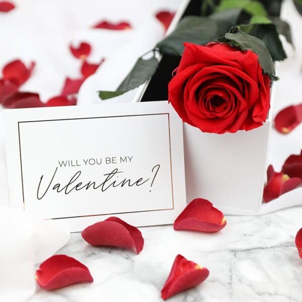 Single Red Rose